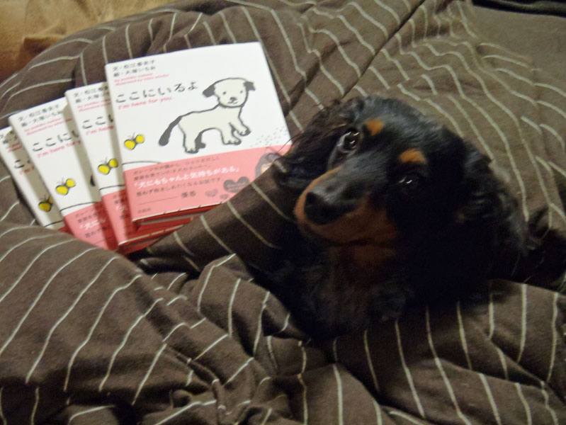 もっぷです